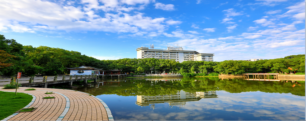 大美江财欢迎你